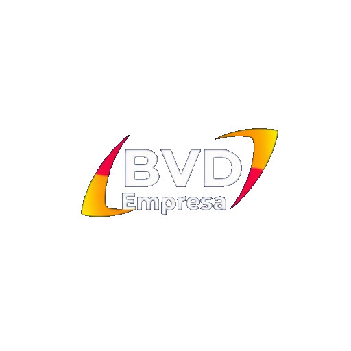 BVD Empresa logo